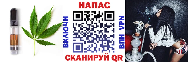 магазин продажи наркотиков  MEGA зеркало  Canna-Cookies марихуана  Шацк 