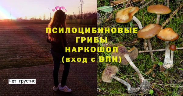 соль ск Алексеевка
