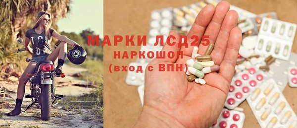 прущие грибы Алексин