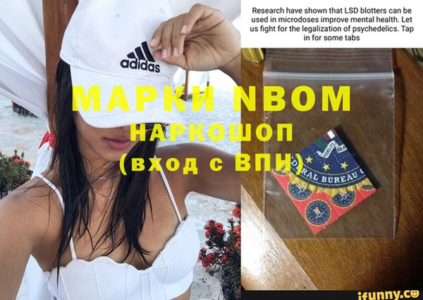 прущие грибы Алексин