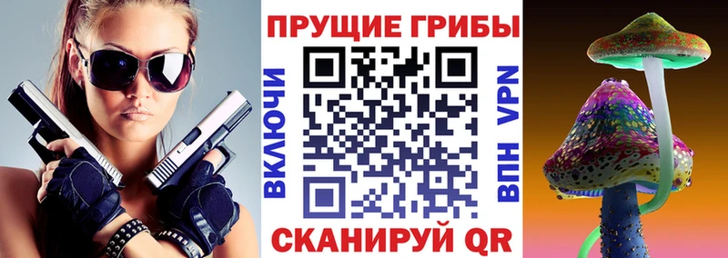даркнет сайт Шацк OMG как войти площадка состав Галлюциногенные грибы MAGIC MUSHROOMS