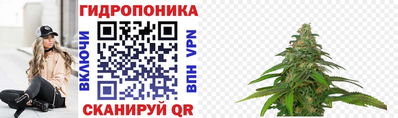 закладки  Шацк  Марихуана VHQ 